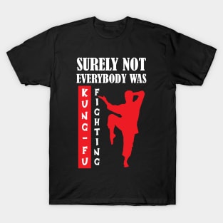 surely not everybody was kung fu fighting T-Shirt